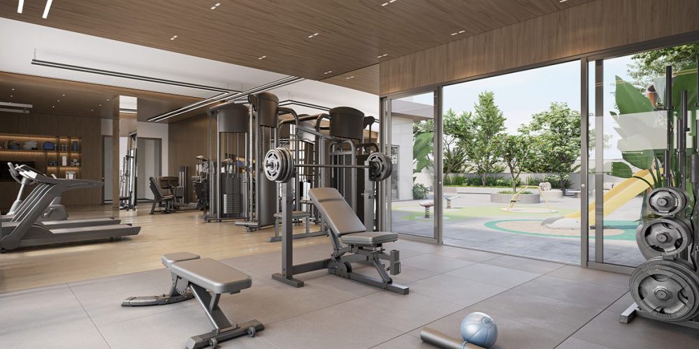 authentic cambui plaenge (1)